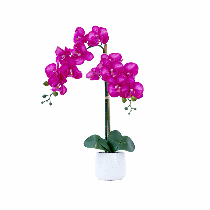 Realistic faux purple Phalaenopsis orchid with vibrant blooms and lush green leaves on tall stem