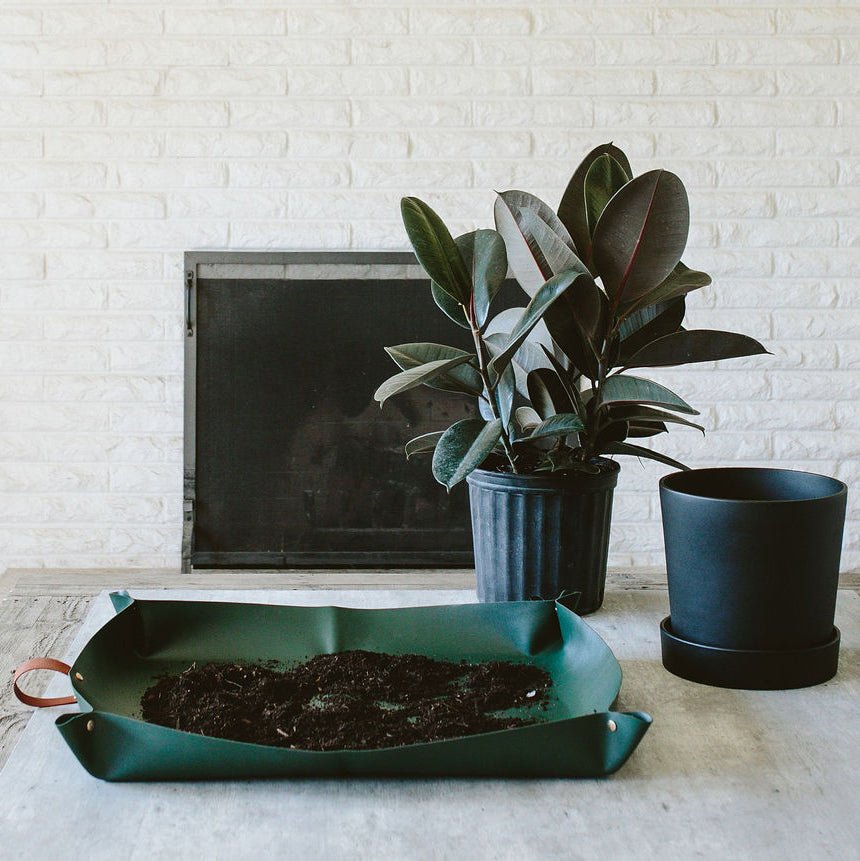 Green foldable repotting mat laid flat with plant and soil on top for mess-free repotting