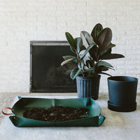 Green foldable repotting mat laid flat with plant and soil on top for mess-free repotting